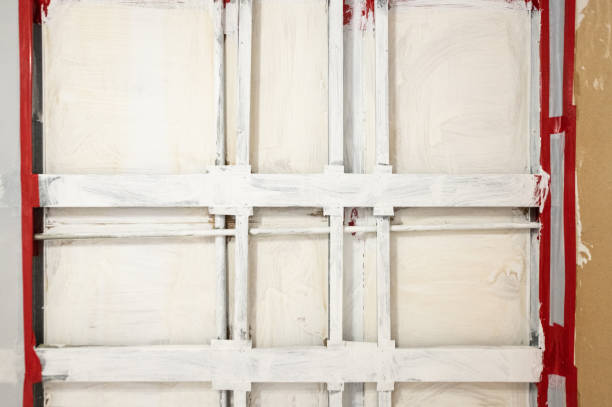 Ishpeming, MI Mold Removal Company