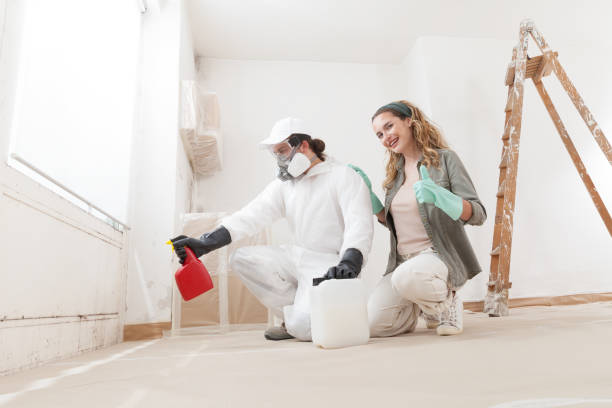 Best Crawl Space Mold Remediation  in Ishpeng, MI