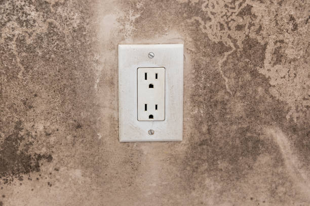 Best Attic Mold Removal  in Ishpeng, MI